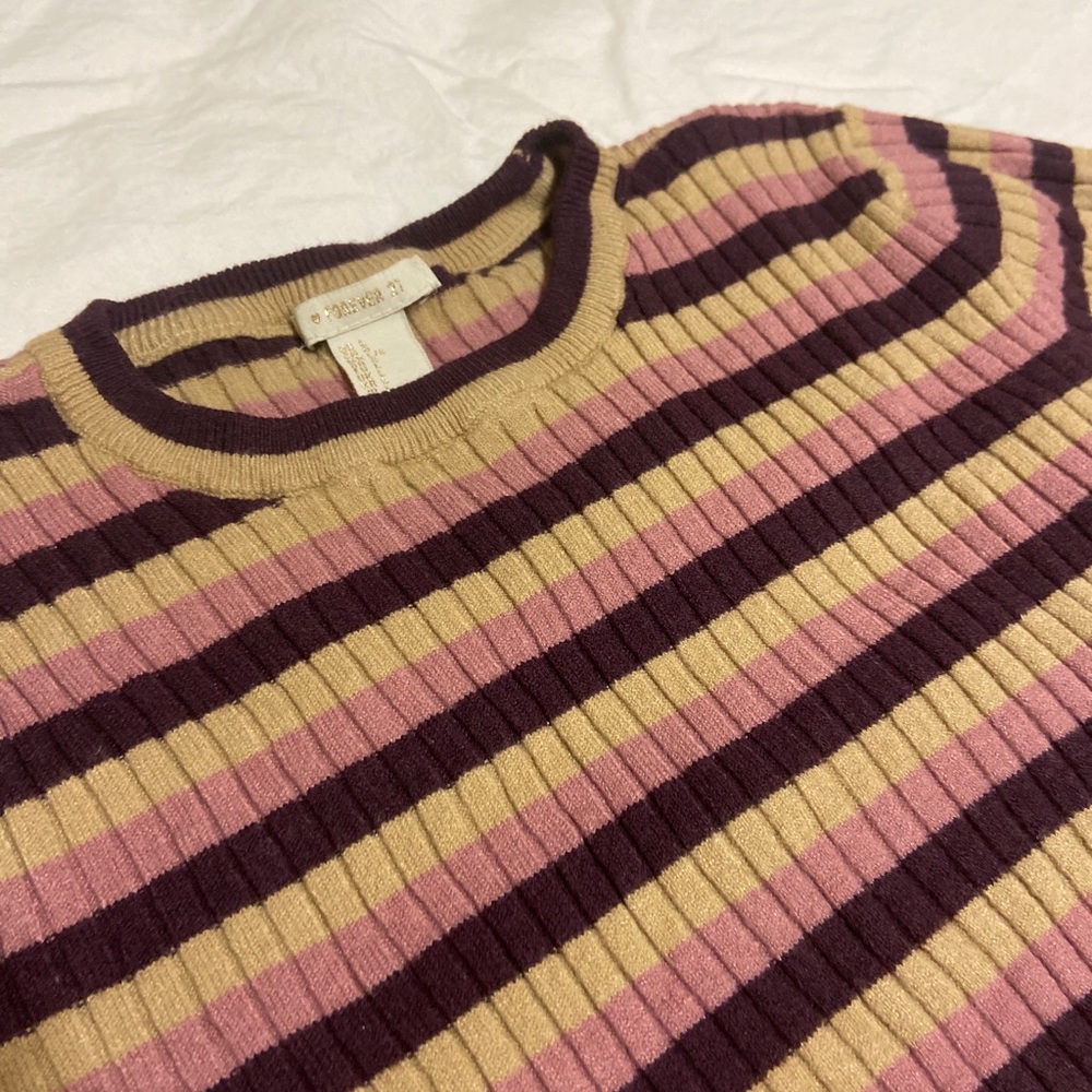 Multicolored Ribbed Striped Crop Top - Picture 3 of 3